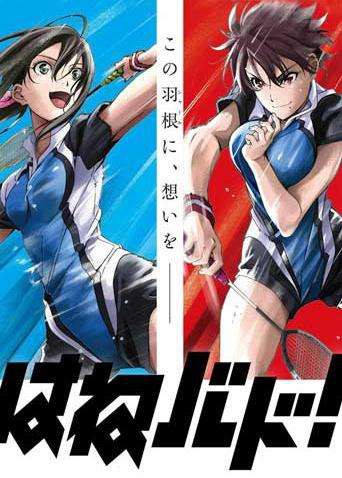 汗水与羽毛球齐飞：《轻羽飞扬》这部作品有着相当的魅力！尤其是动画