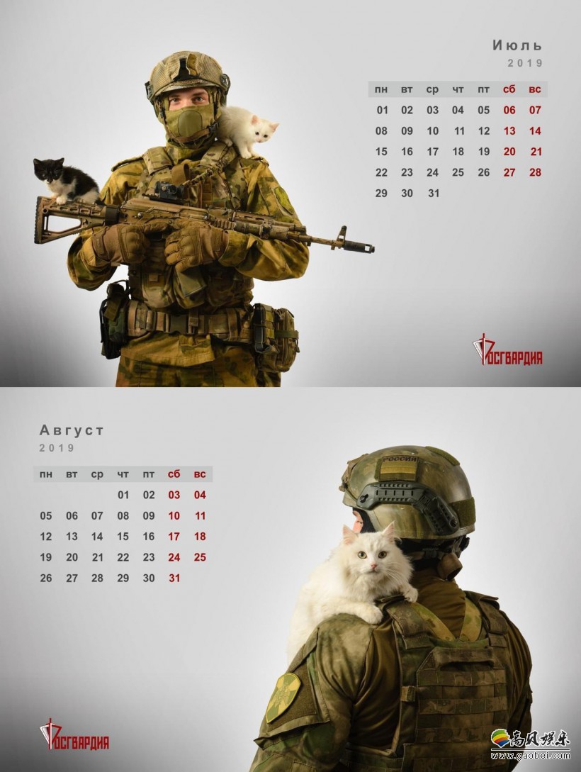 俄罗斯国民禁卫军2019年日历:大兵们居然在撸猫!画风可以说十分有趣