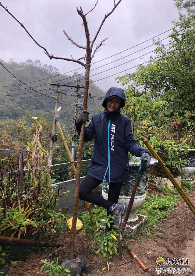 林依晨微博晒出自己植树节种树照片,戴手套拿铁锹,亲力亲为种下小树苗