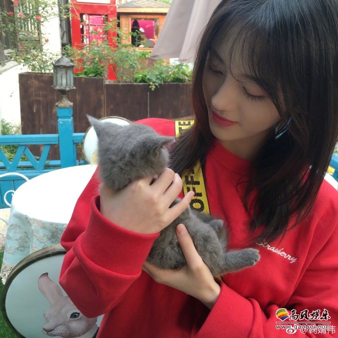 鞠婧祎晒出图片:她手捧一只小猫,和它亲昵嬉戏,场面温馨有爱