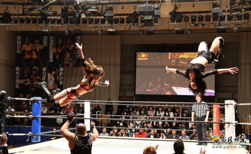 日本职业摔跤手图片