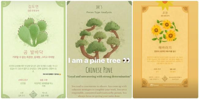 中国台湾新创公司心理测验，源自於旗下一款APP《FOREST：专注森林》