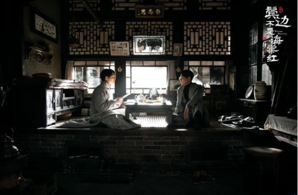 《鬓边不是海棠红》精彩剧情、浓厚戏曲元素、优秀演员表演引起观众讨论