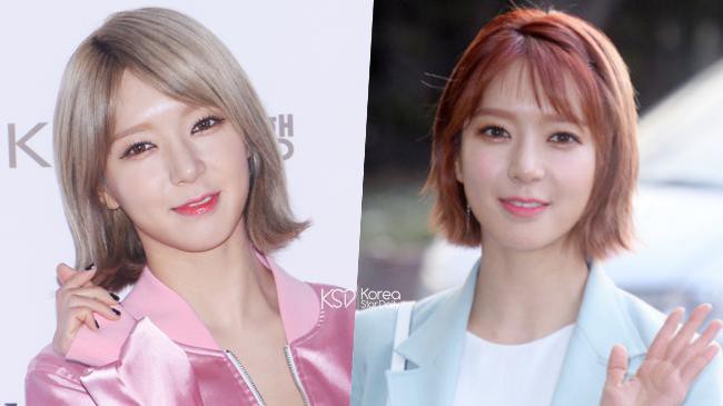 女团AOA出身草娥签约新生企划社GREAT M，将展开个人演艺生涯新出发