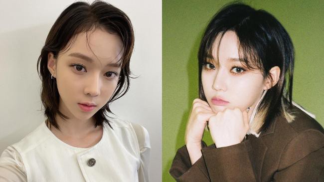 aespa成员Winter和粉丝沟通分享饲养仓鼠经历，再次引起了韩网热烈讨论