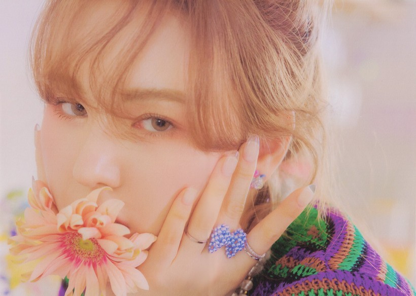 Son Seung-Wan孙承完是哪个女团成员转型成功?她何时主持电台节目? Son Seung-Wan孙承完是哪个女团成员转型成功?她何时主持电台节目?