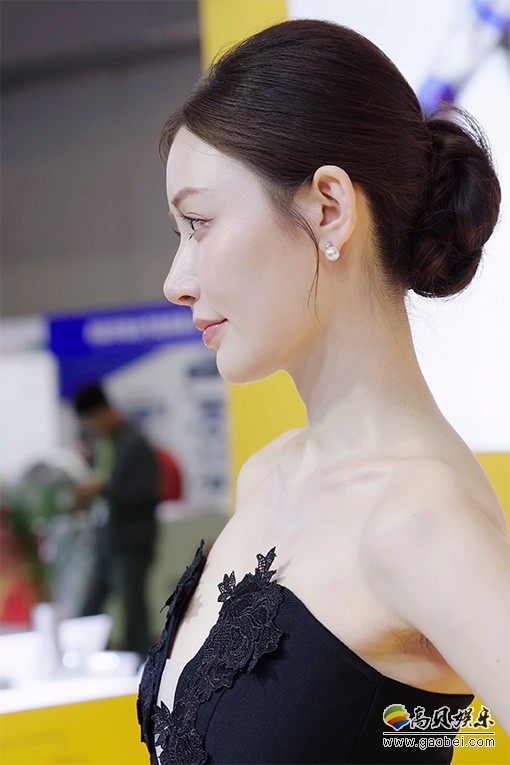 平面模特 车模 饭拍秀 [ID137264 版本]【20合集 4.31 GB】