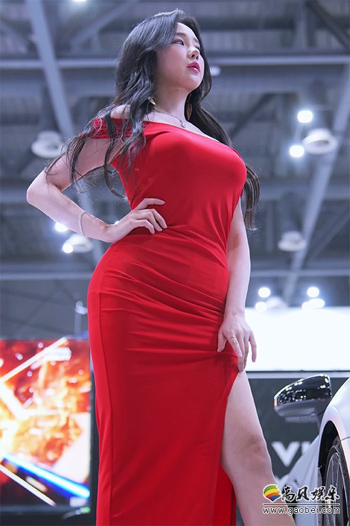 平面模特 车模 饭拍秀 [ID137403 版本]【20合集 9.79 GB】