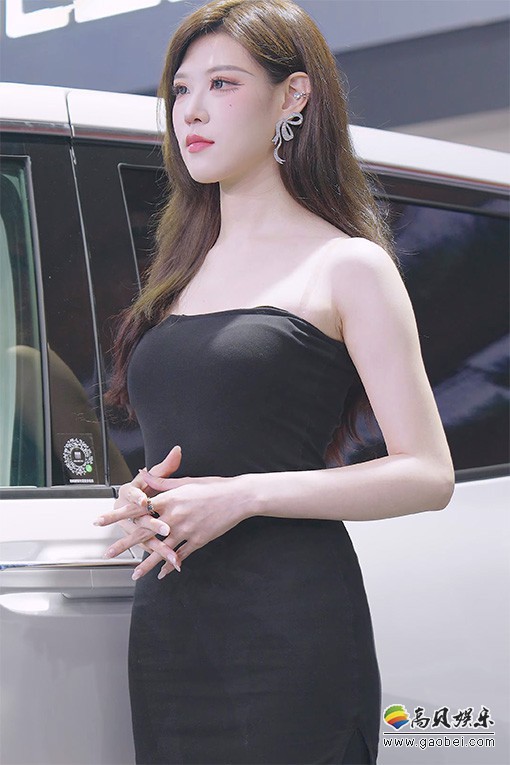 平面模特 车模 饭拍秀 [ID137674 版本]【20合集 9.12 GB】